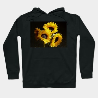 Quatro Sunflowers Hoodie